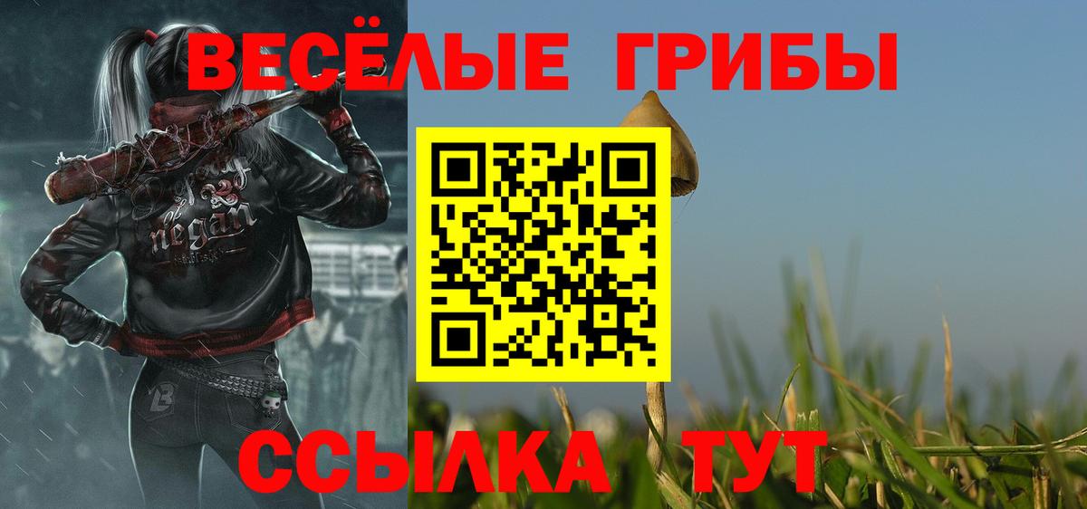 Псилоцибиновые грибы Magic Shrooms Городец