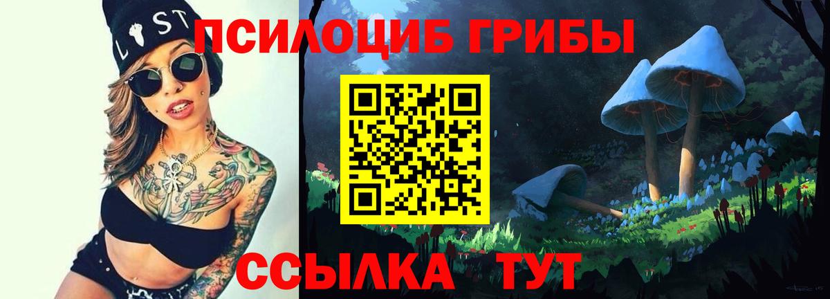 Псилоцибиновые грибы Psilocybe  дарнет шоп  Городец  Вход с VPN 